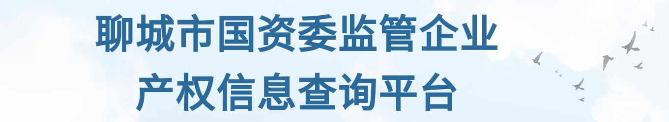 聊城市國資委監管企業產權信息查詢平臺